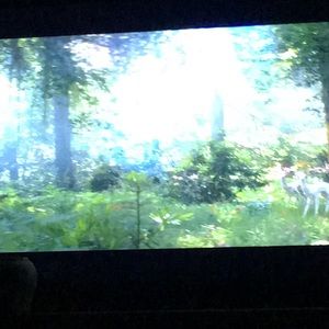 Meet your Posher, Janetta